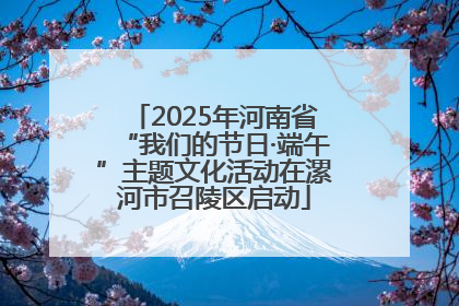2025年河南省“我们的节日·端午”主题文化活动在漯河市召陵区启动