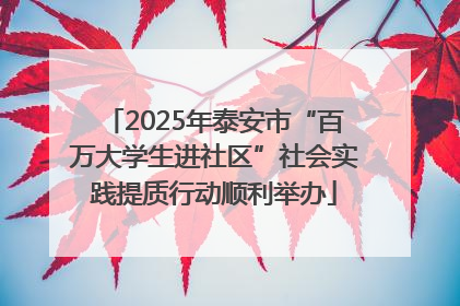 2025年泰安市“百万大学生进社区”社会实践提质行动顺利举办