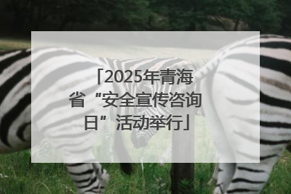 2025年青海省“安全宣传咨询日”活动举行