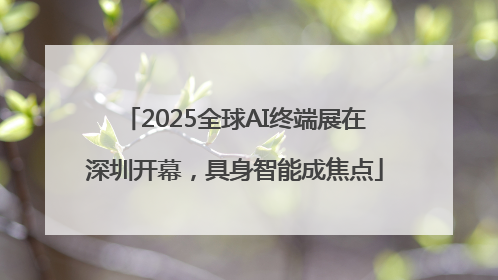 2025全球AI终端展在深圳开幕，具身智能成焦点
