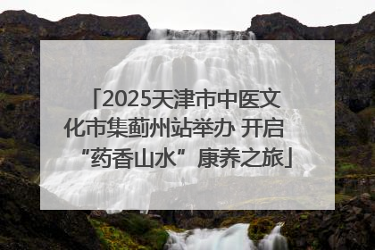 2025天津市中医文化市集蓟州站举办 开启“药香山水”康养之旅