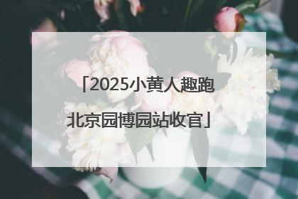 2025小黄人趣跑北京园博园站收官