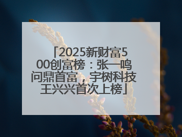 2025新财富500创富榜：张一鸣问鼎首富，宇树科技王兴兴首次上榜