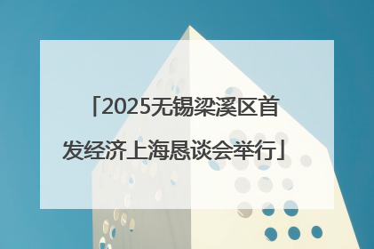 2025无锡梁溪区首发经济上海恳谈会举行