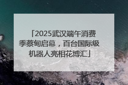 2025武汉端午消费季蔡甸启幕，百台国际级机器人亮相花博汇