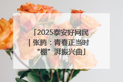 2025泰安好网民｜张腾：青春正当时 “棚”湃振兴曲