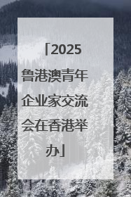 2025鲁港澳青年企业家交流会在香港举办