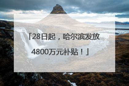 28日起，哈尔滨发放4800万元补贴！