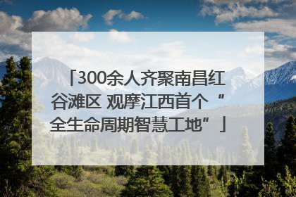 300余人齐聚南昌红谷滩区 观摩江西首个“全生命周期智慧工地”