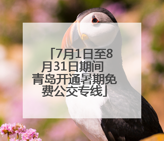 7月1日至8月31日期间 青岛开通暑期免费公交专线