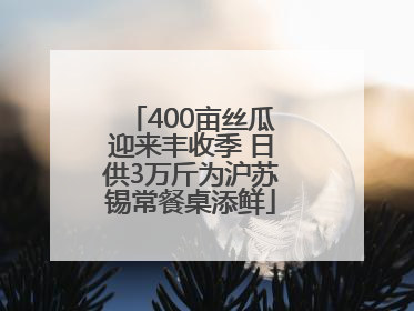 400亩丝瓜迎来丰收季 日供3万斤为沪苏锡常餐桌添鲜