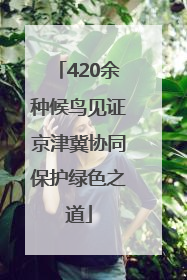 420余种候鸟见证京津冀协同保护绿色之道