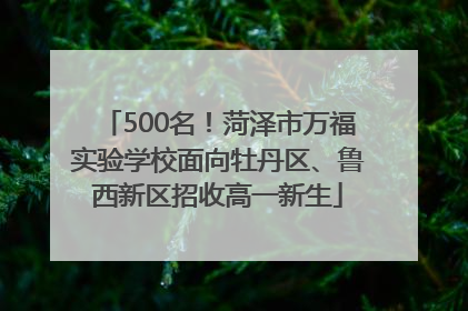 500名！菏泽市万福实验学校面向牡丹区、鲁西新区招收高一新生