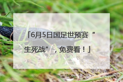 6月5日国足世预赛“生死战”，免费看！