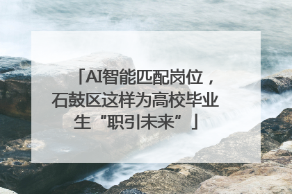 AI智能匹配岗位，石鼓区这样为高校毕业生“职引未来”