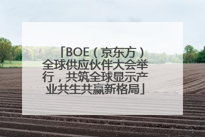 BOE（京东方）全球供应伙伴大会举行，共筑全球显示产业共生共赢新格局