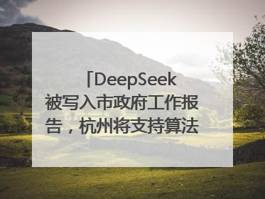 DeepSeek被写入市政府工作报告，杭州将支持算法模型企业发展