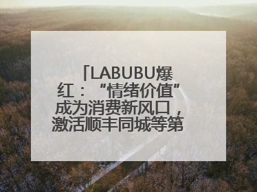 LABUBU爆红：“情绪价值”成为消费新风口，激活顺丰同城等第三方即配