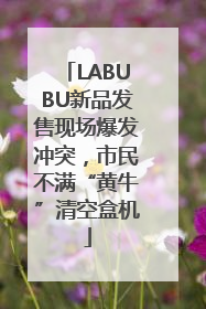 LABUBU新品发售现场爆发冲突，市民不满“黄牛”清空盒机