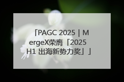 PAGC 2025｜MergeX荣膺「2025 H1 出海新势力奖」