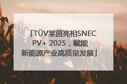 TÜV莱茵亮相SNEC PV+ 2025，赋能新能源产业高质量发展